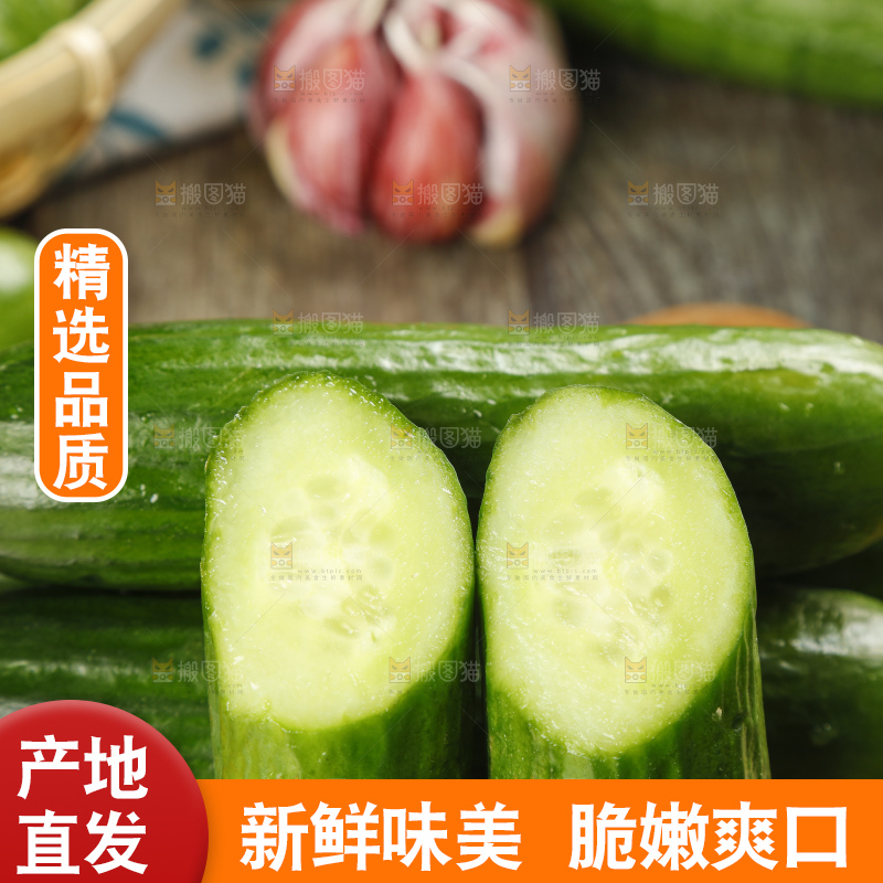 新鲜的山东水果黄瓜放在木板上