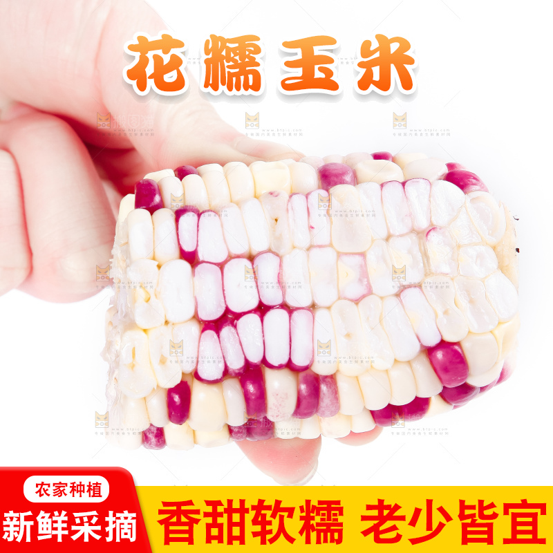 手里拿着剥皮的广西花糯玉米