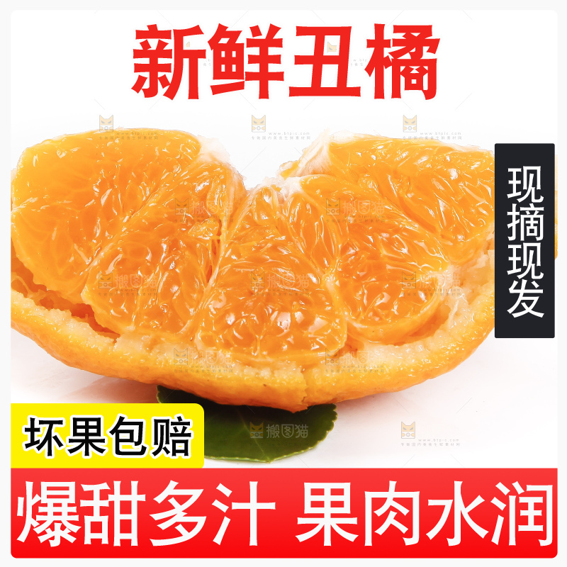 白底上的新鲜丑柑