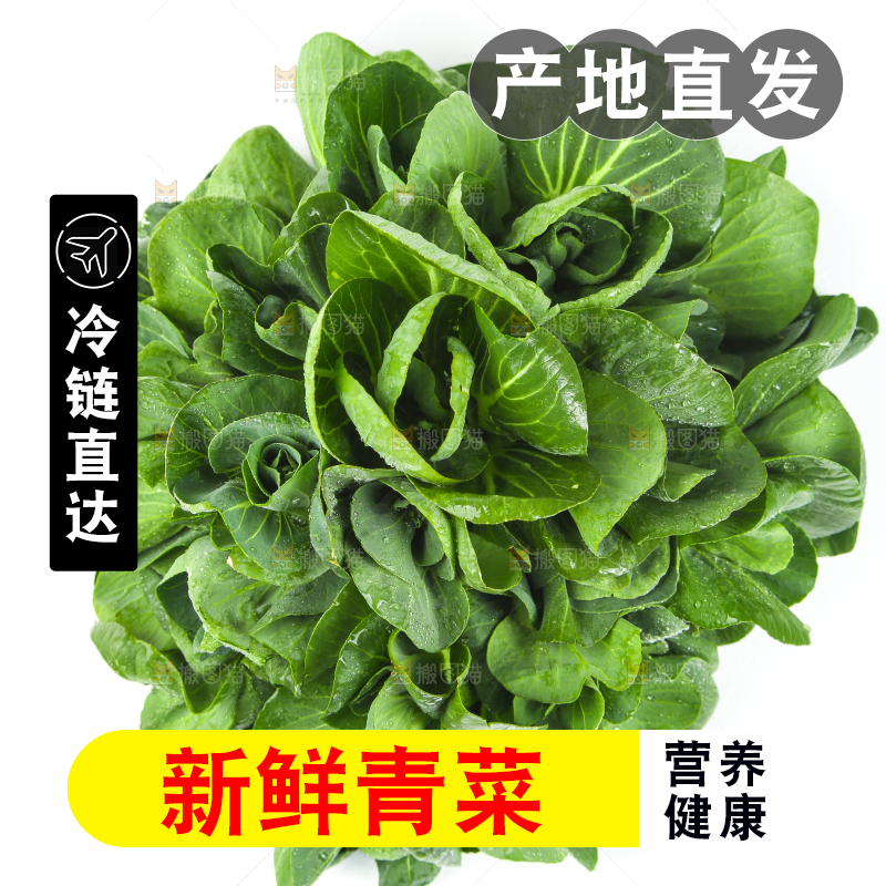 白底上放着青菜