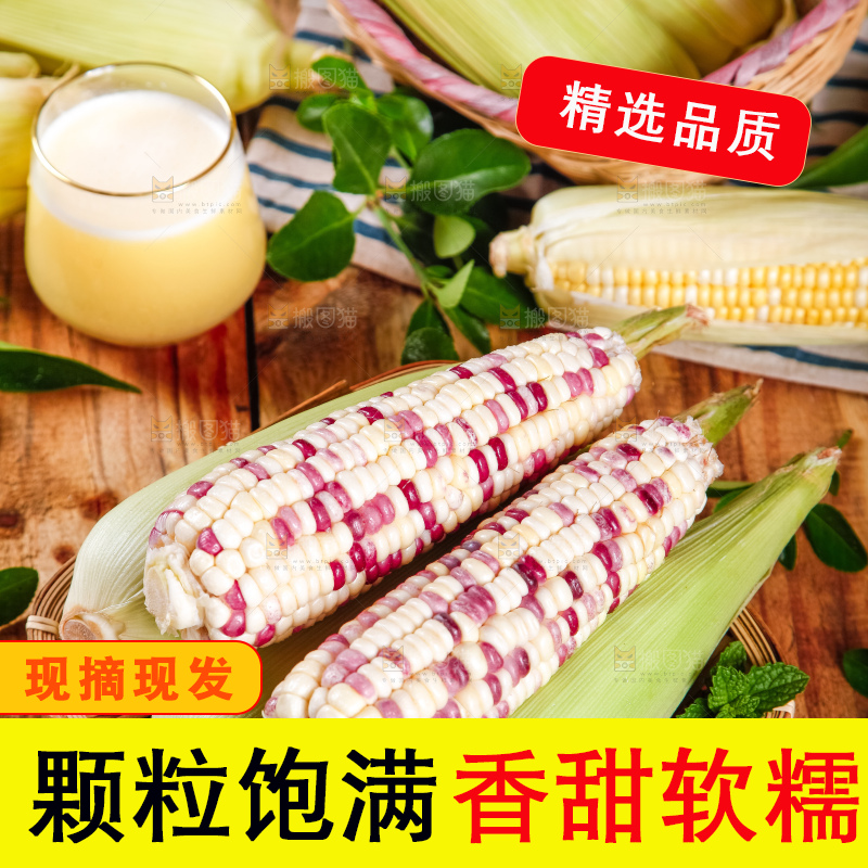 竹篮里放着剥皮的香甜糯玉米