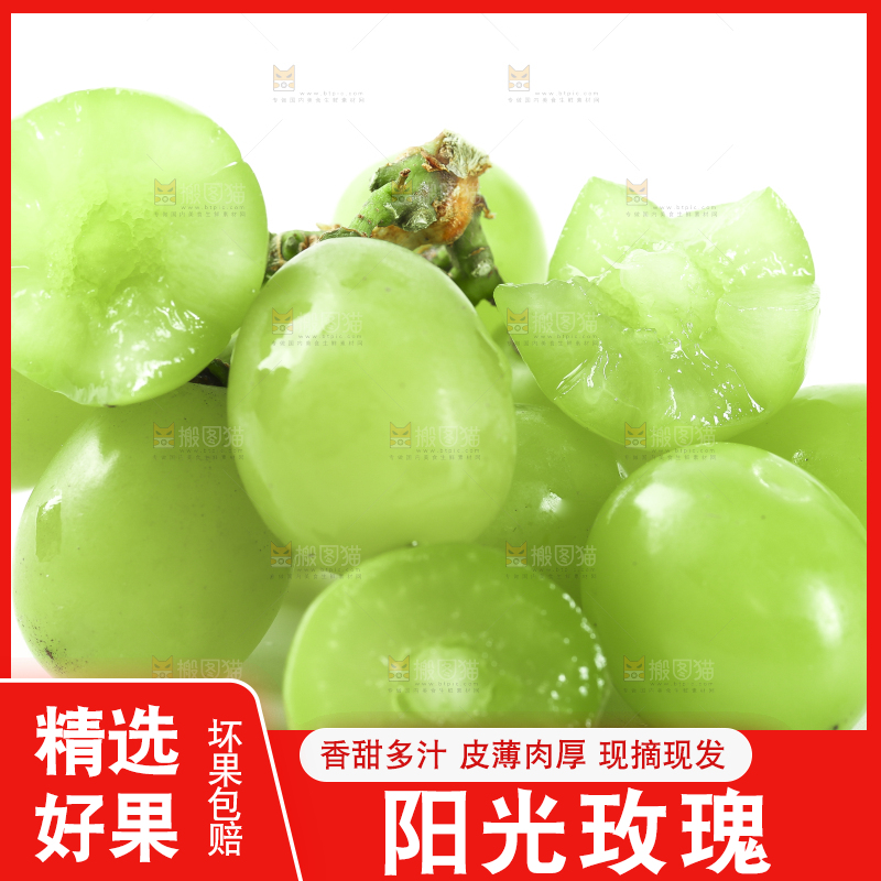 白底上放着阳光玫瑰