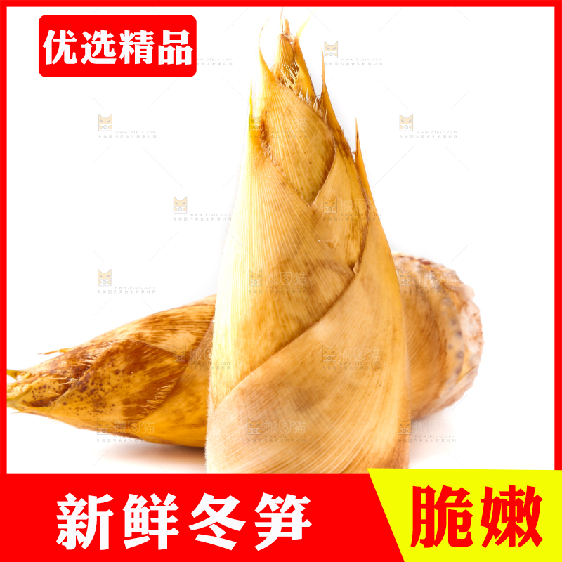 白底上摆放着冬笋