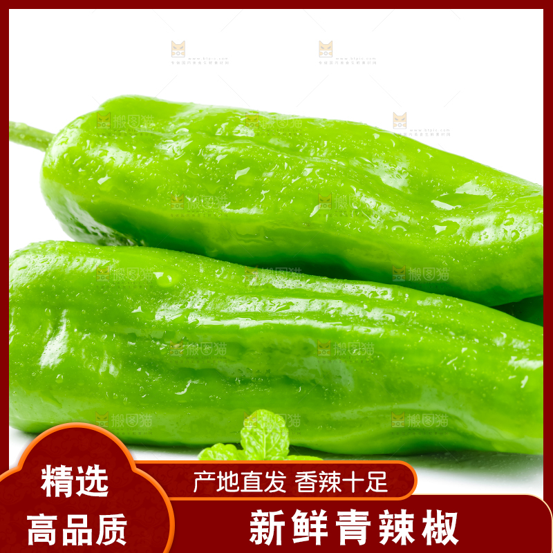 白底上放着青椒