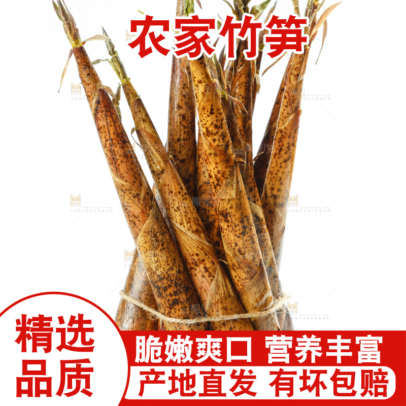 白底上绑着一捆竹笋