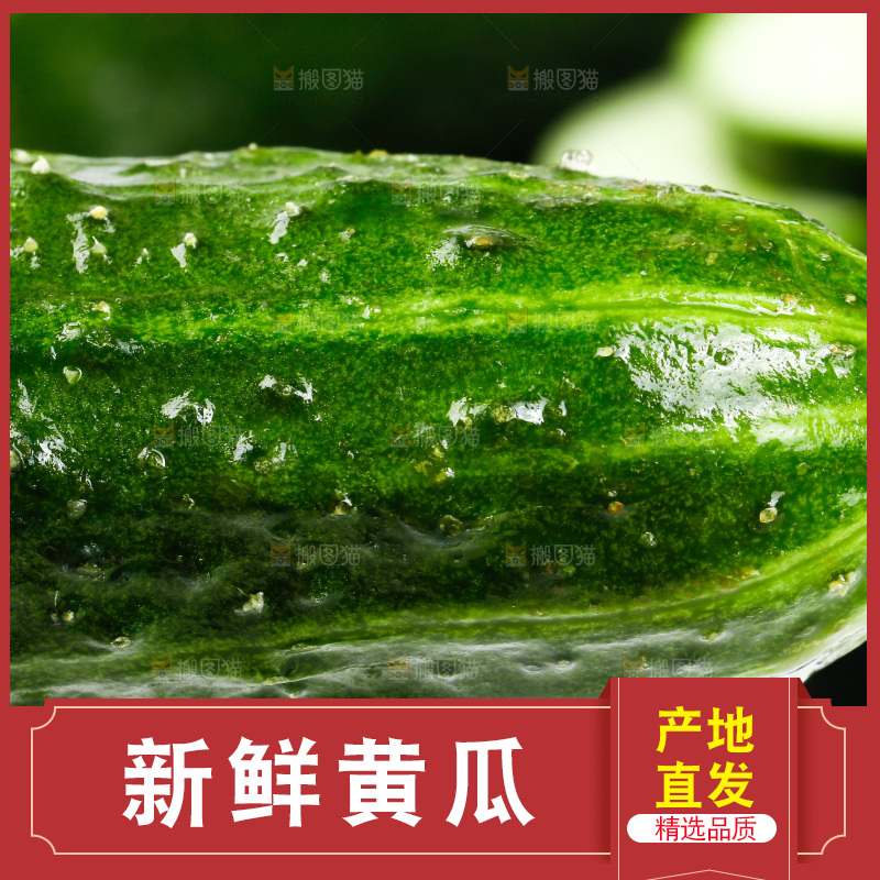 白底上放着黄瓜