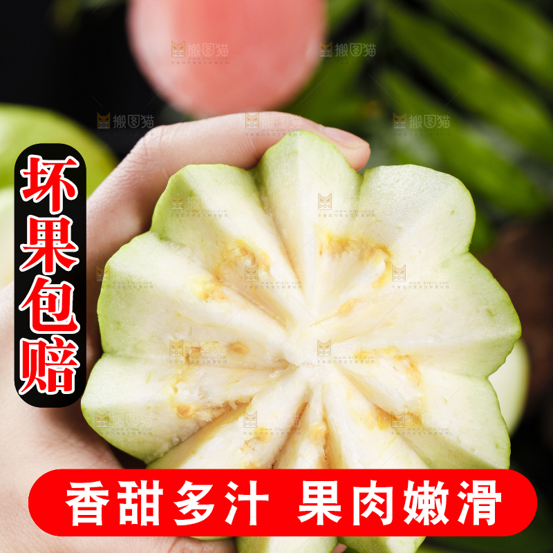 手里拿着广西白心芭乐