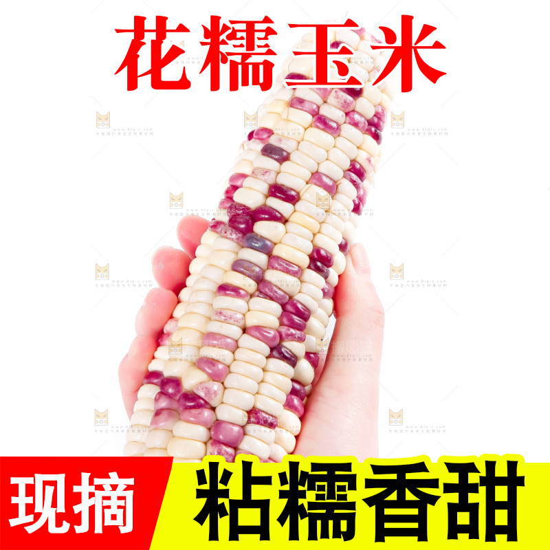 手里拿着剥皮的广西花糯玉米