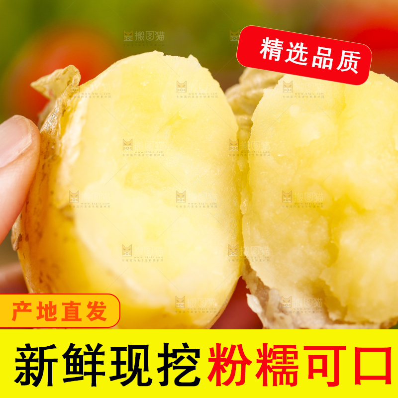 手里拿着小土豆