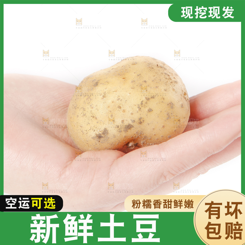 手里拿着小土豆