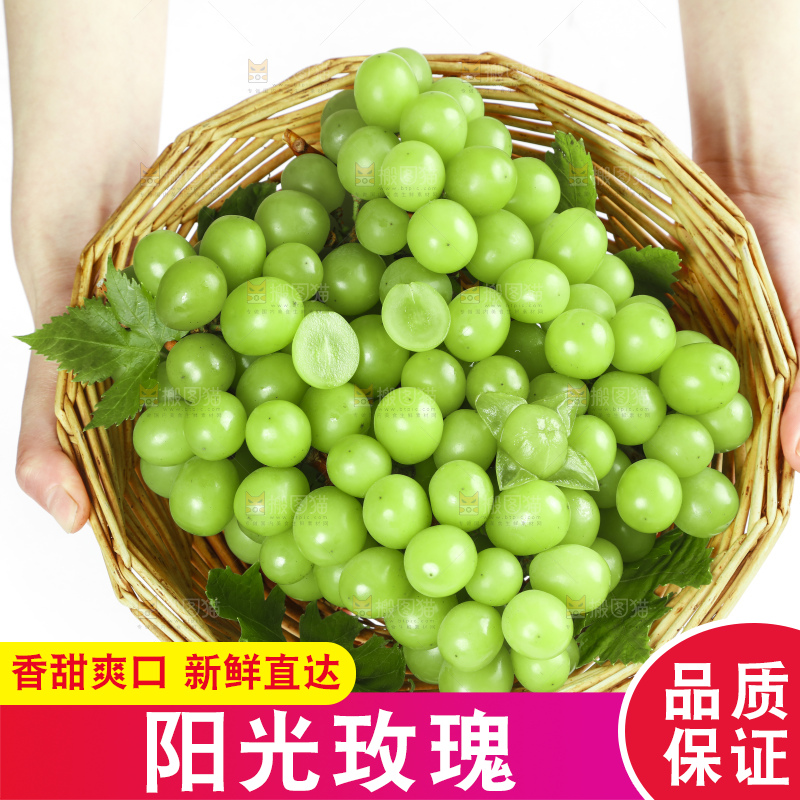 手里拿着无籽青提