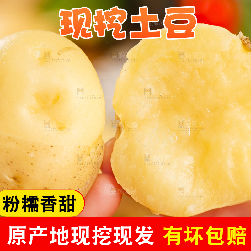 手里拿着小土豆
