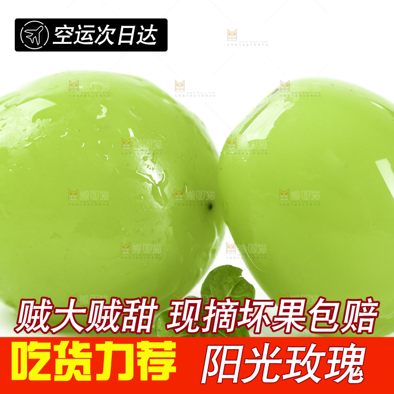 白底上放着阳光玫瑰
