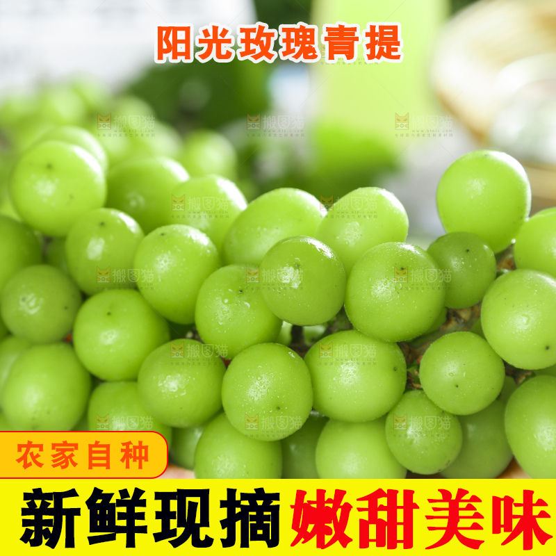 手里拿着香印青提
