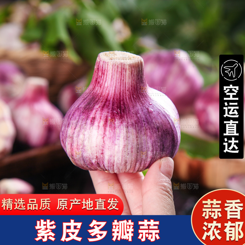手里拿着紫皮大蒜