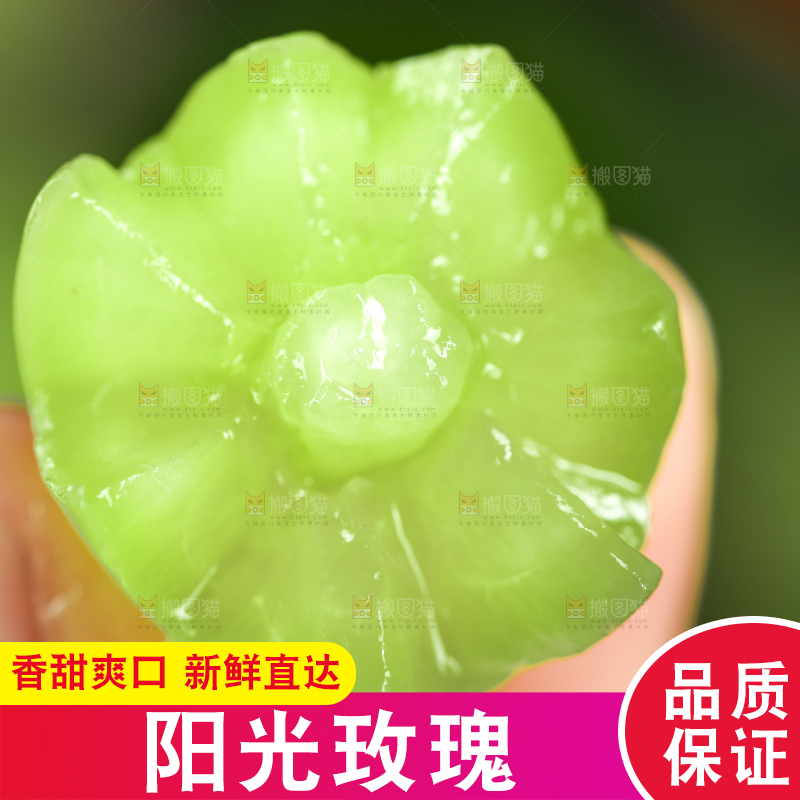 手里拿着无籽青提