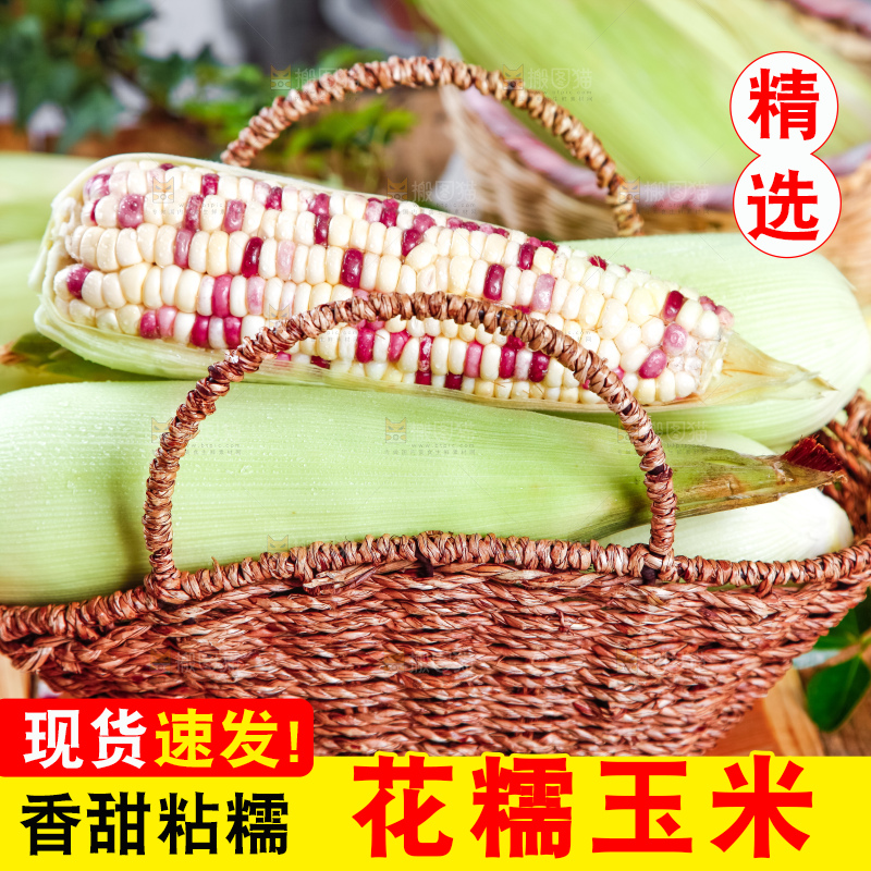 竹篮里放着剥皮的花糯玉米