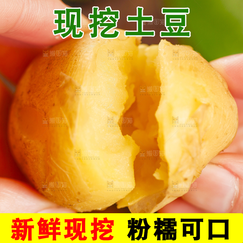 手里拿着小土豆