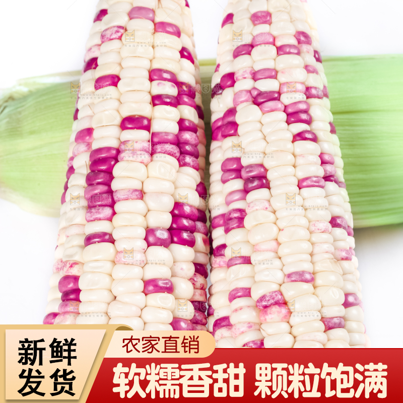 白底上放着花糯玉米