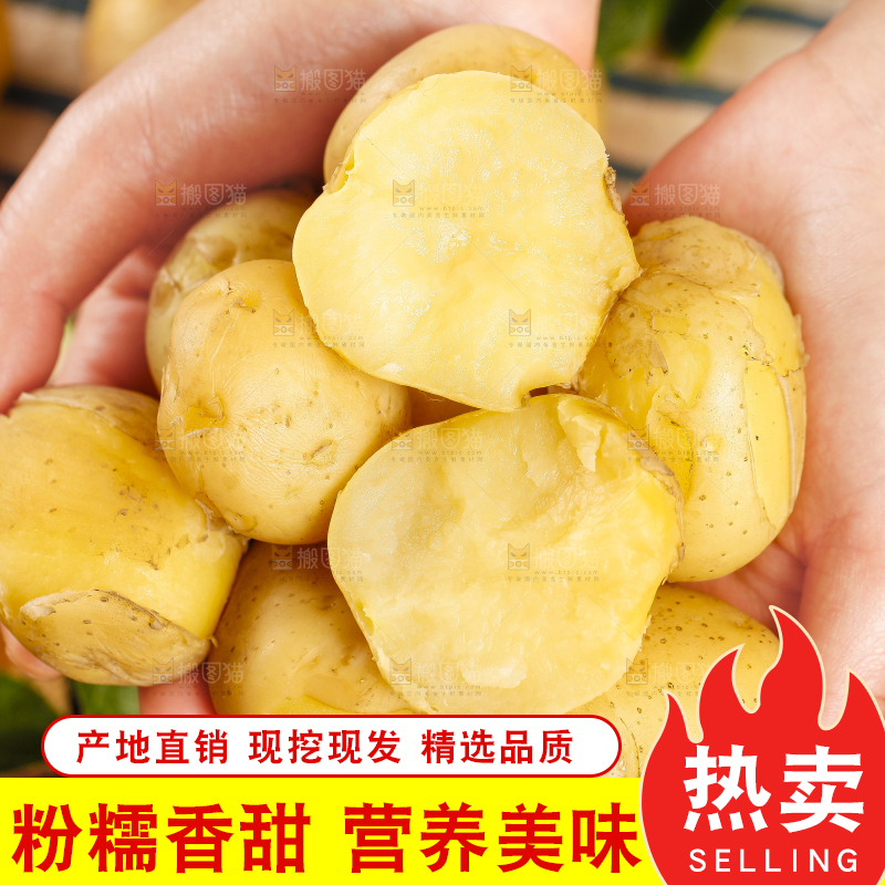 手里拿着小土豆