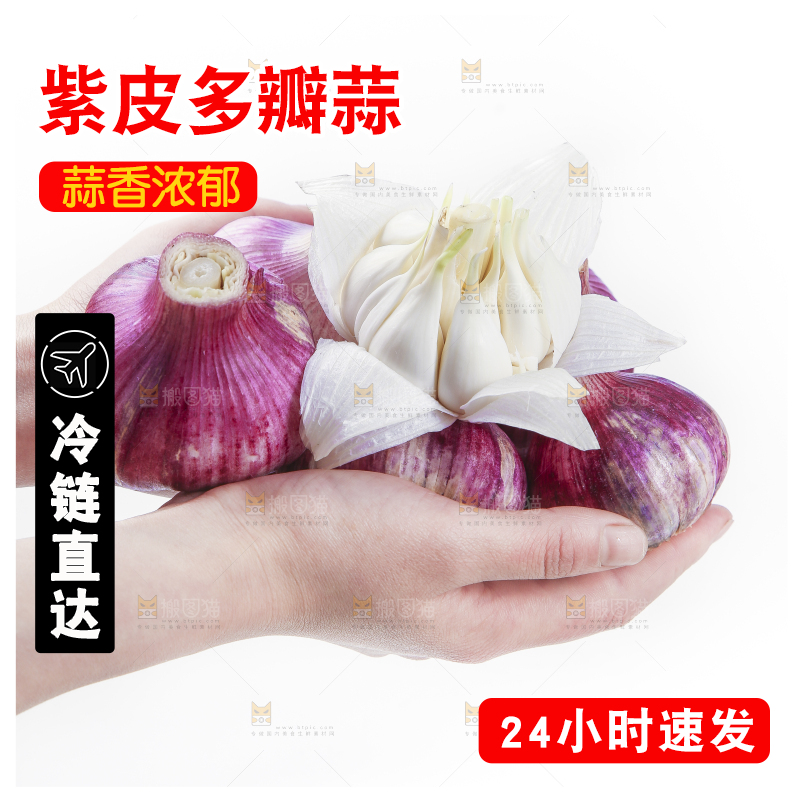 手里拿着紫皮蒜