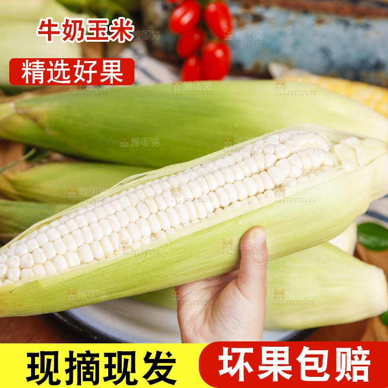 手里拿着牛奶玉米