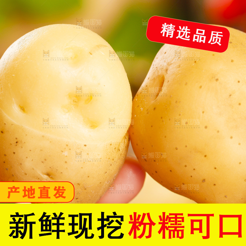 手里拿着小土豆