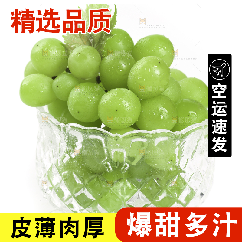 杯子里装着阳光玫瑰