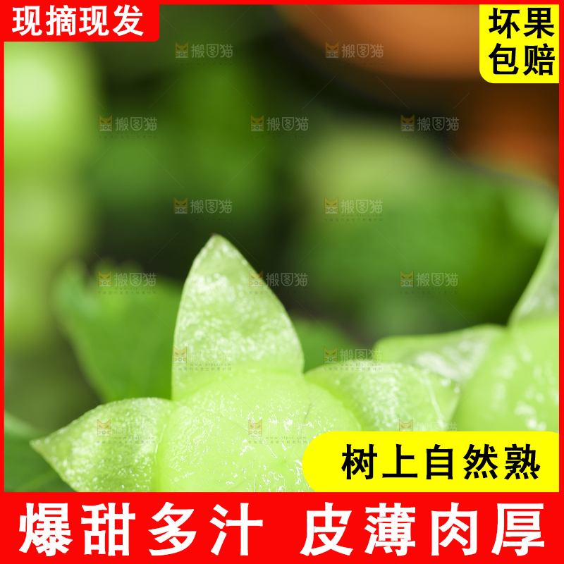 叶子上放着剥皮的的无籽青提