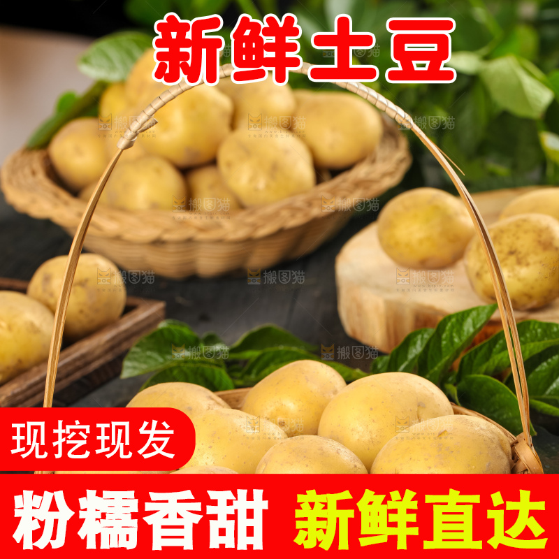 竹篮里装着小土豆