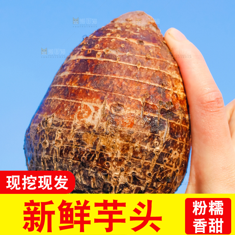 手里拿着紫藤芋头