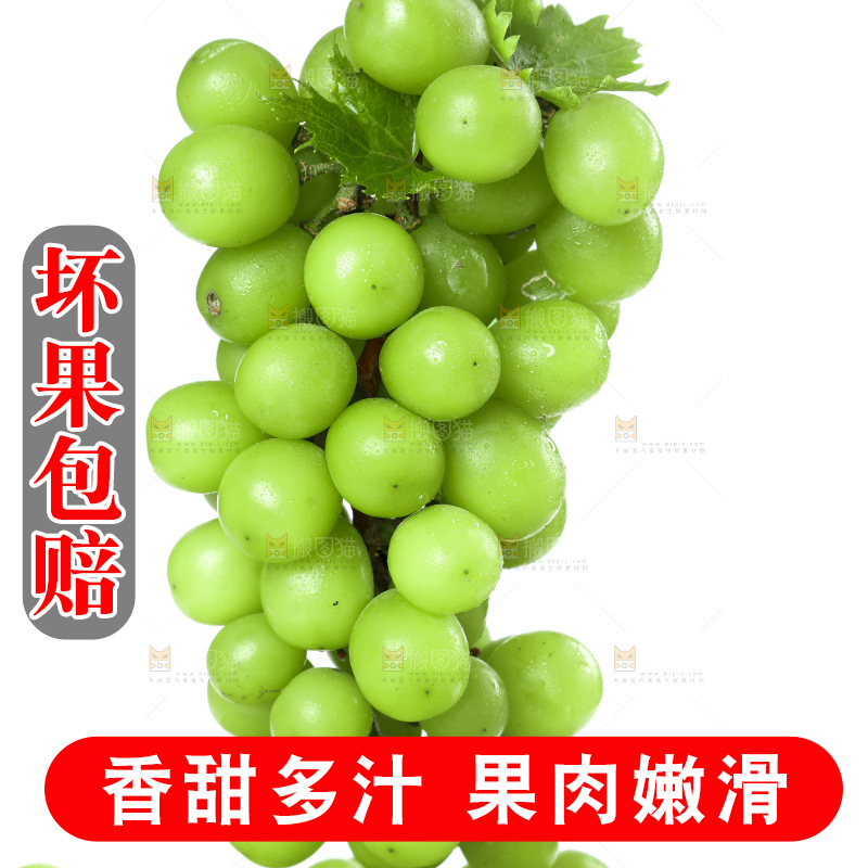 手里拿着无籽青提