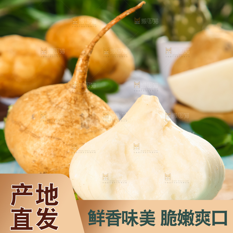 木垫上的白凉薯