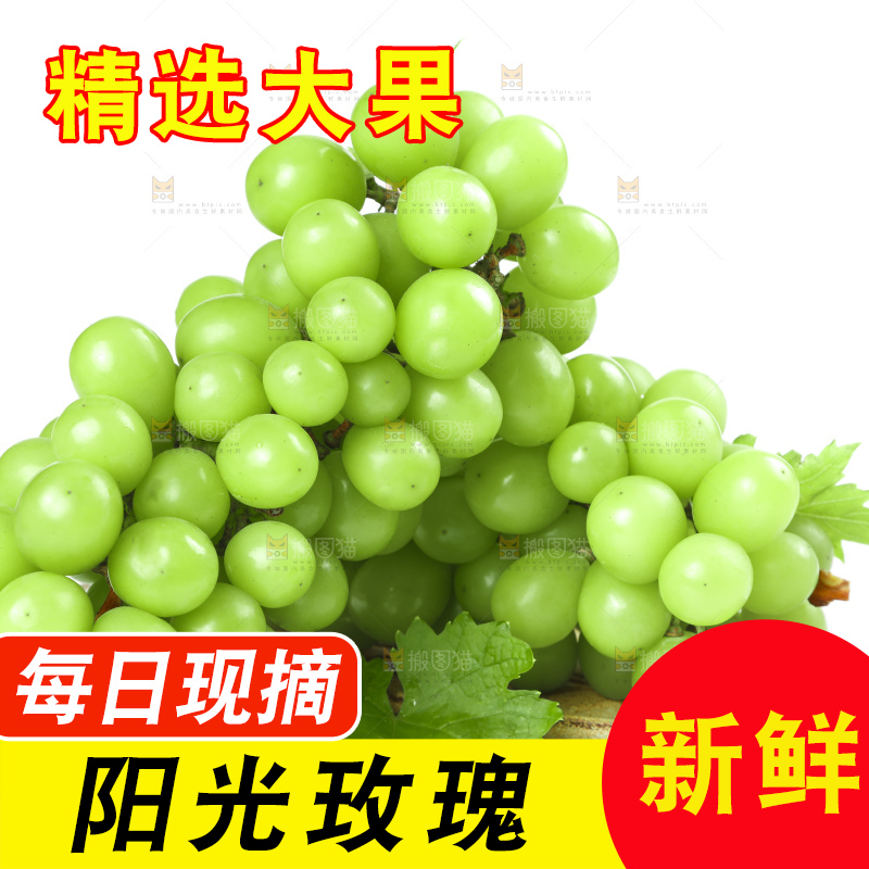 白底上放着阳光玫瑰