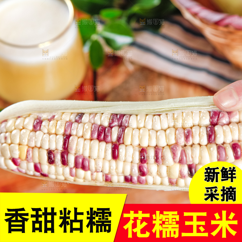 手里拿着花糯玉米
