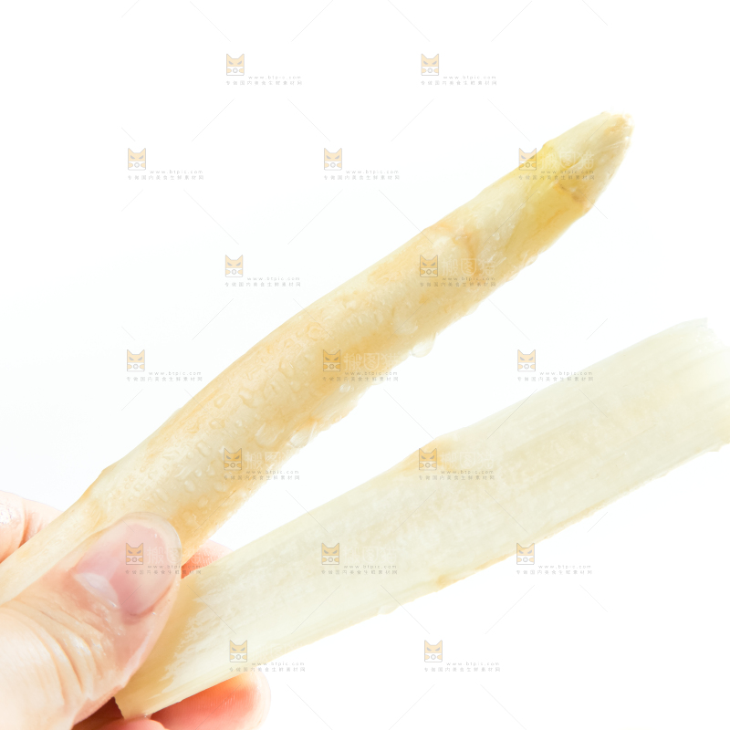手里拿着切片的山东白芦笋