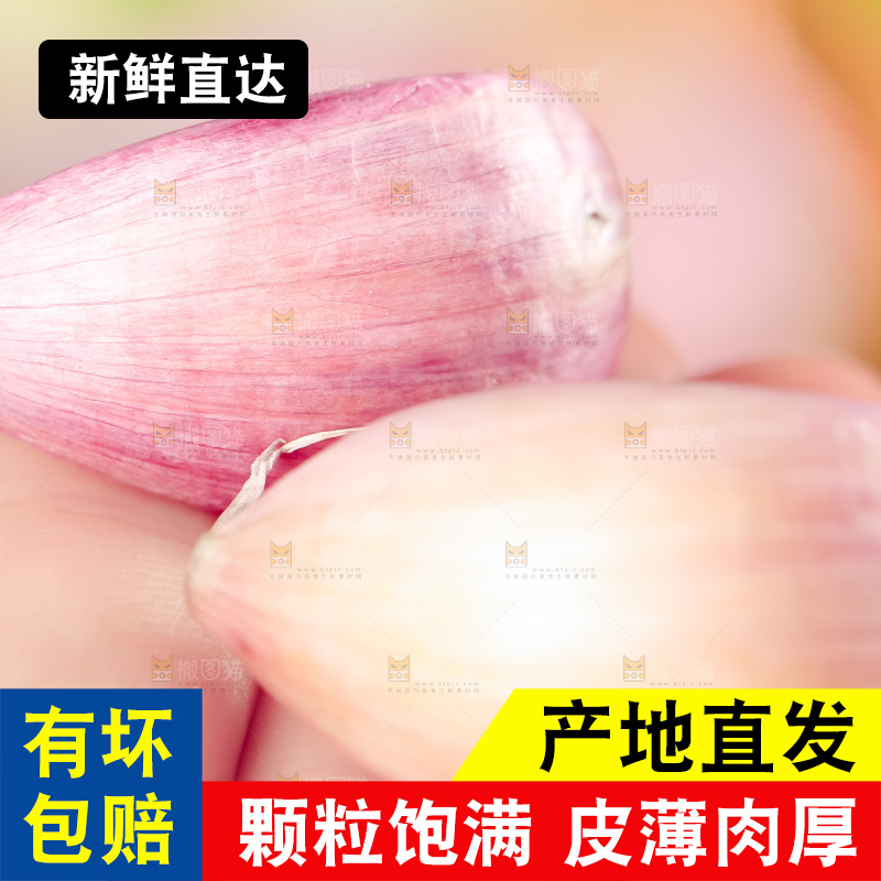 手里拿着云南紫皮大蒜