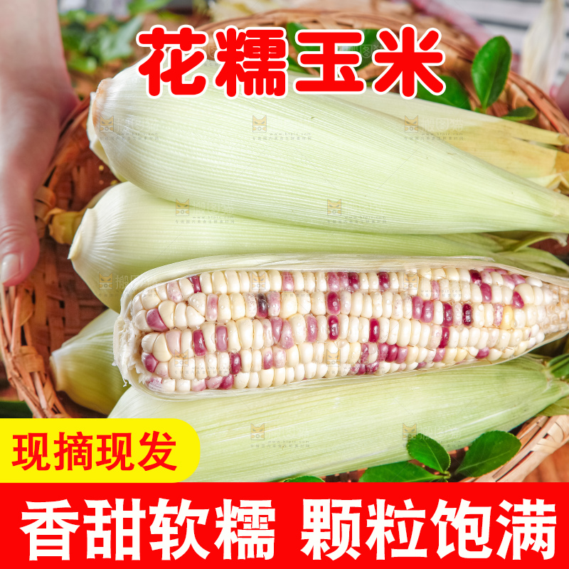 竹篮里面放着花糯玉米