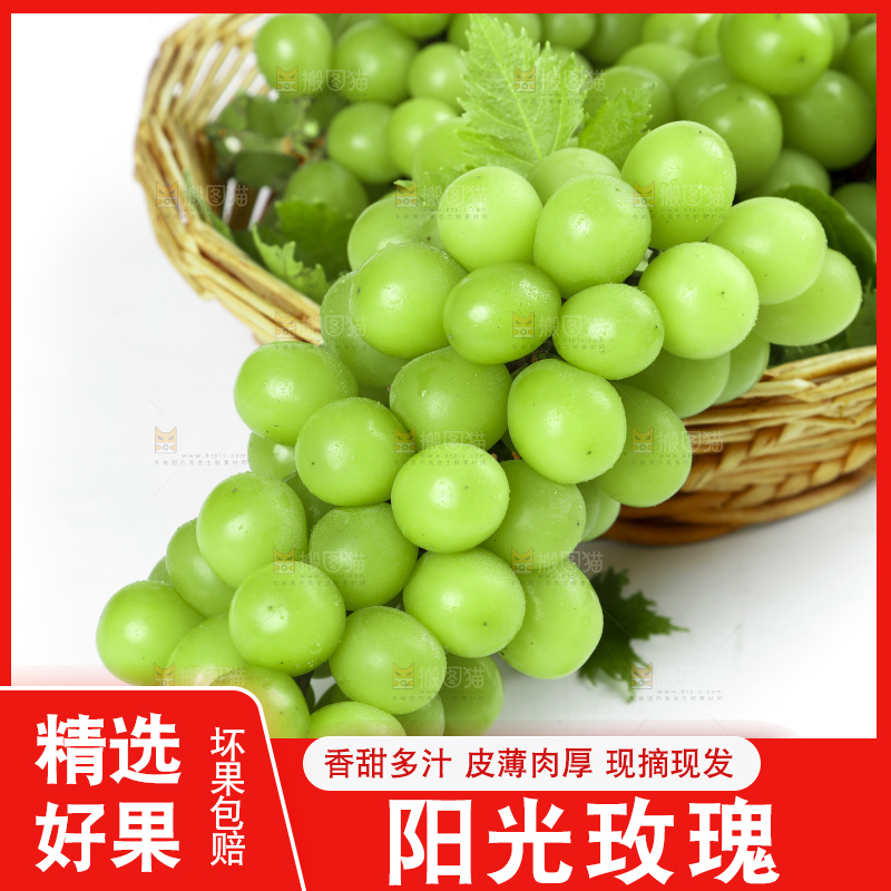 白底上放着阳光玫瑰