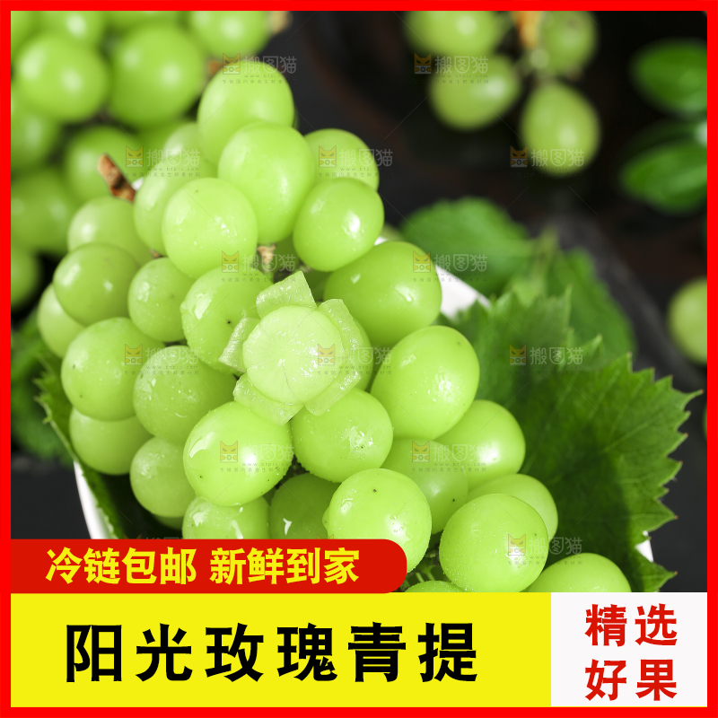 手里拿着无籽青提