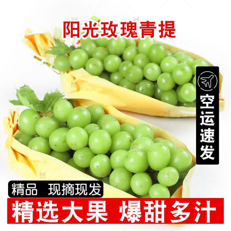 白底上摆放着阳光玫瑰葡萄