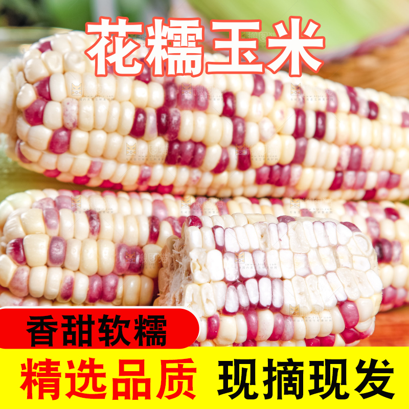 木板上放着剥皮的香甜糯玉米