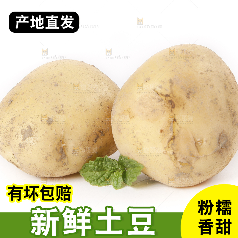 白底上放着土豆