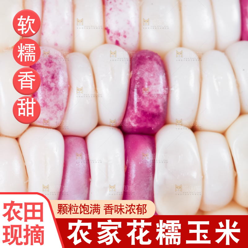 花糯玉米