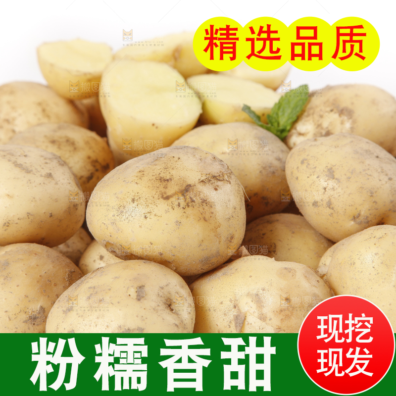 白底上放着小土豆