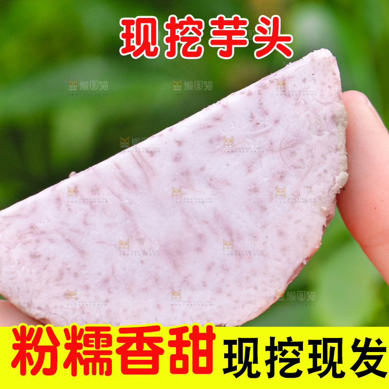 手里拿着紫藤芋头