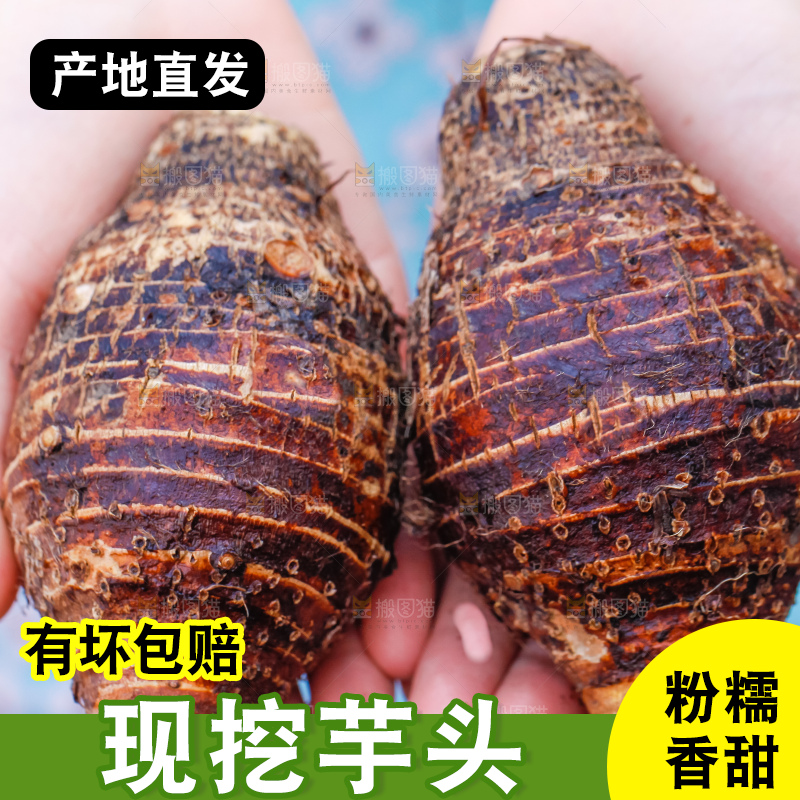 手里拿着紫藤芋头