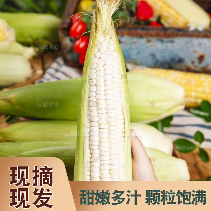手里拿着牛奶玉米