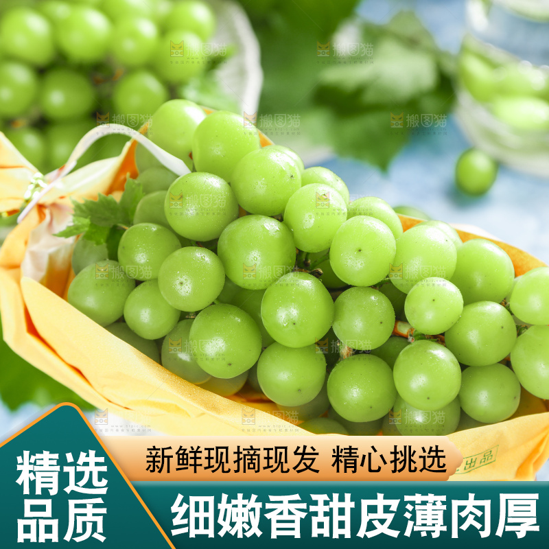 手里拿着香印青提