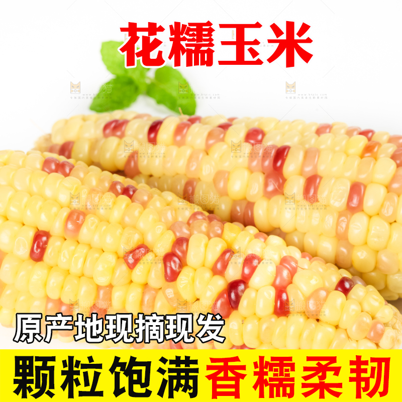 白底上放着花糯玉米
